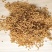 【谷芽】生谷芽炒谷芽量大从优物美价廉产地直供