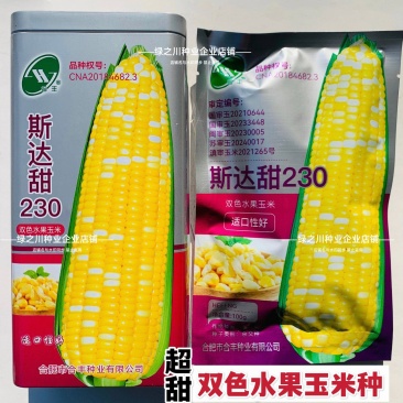 斯达甜230双色水果玉米种子生吃水果玉米黄白甜玉米种子