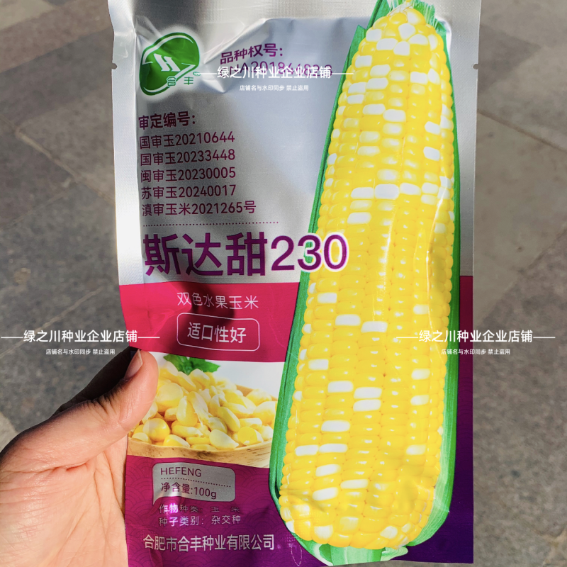 斯达甜230双色水果玉米种子生吃水果玉米黄白甜玉米种子