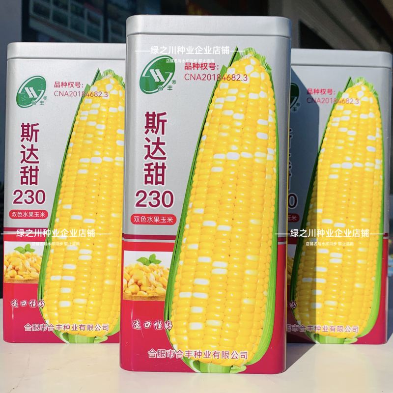 斯达甜230双色水果玉米种子生吃水果玉米黄白甜玉米种子