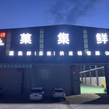 人参果