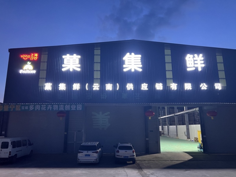 人参果