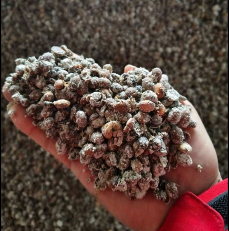 益生菌发酵大豆肥有机质90%氮磷钾8%蛋白32%活菌5亿