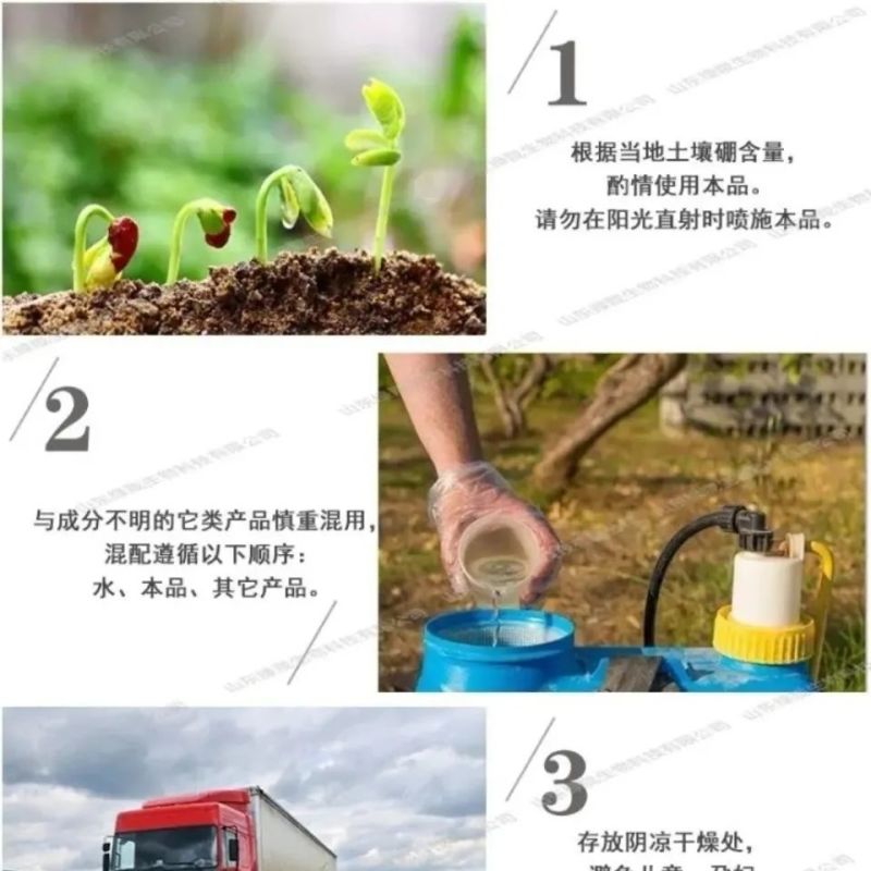 硫体硼叶面肥没进花芽分化提高授粉坐果率保花保果