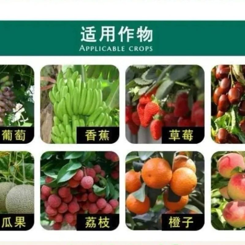 硫体硼叶面肥没进花芽分化提高授粉坐果率保花保果
