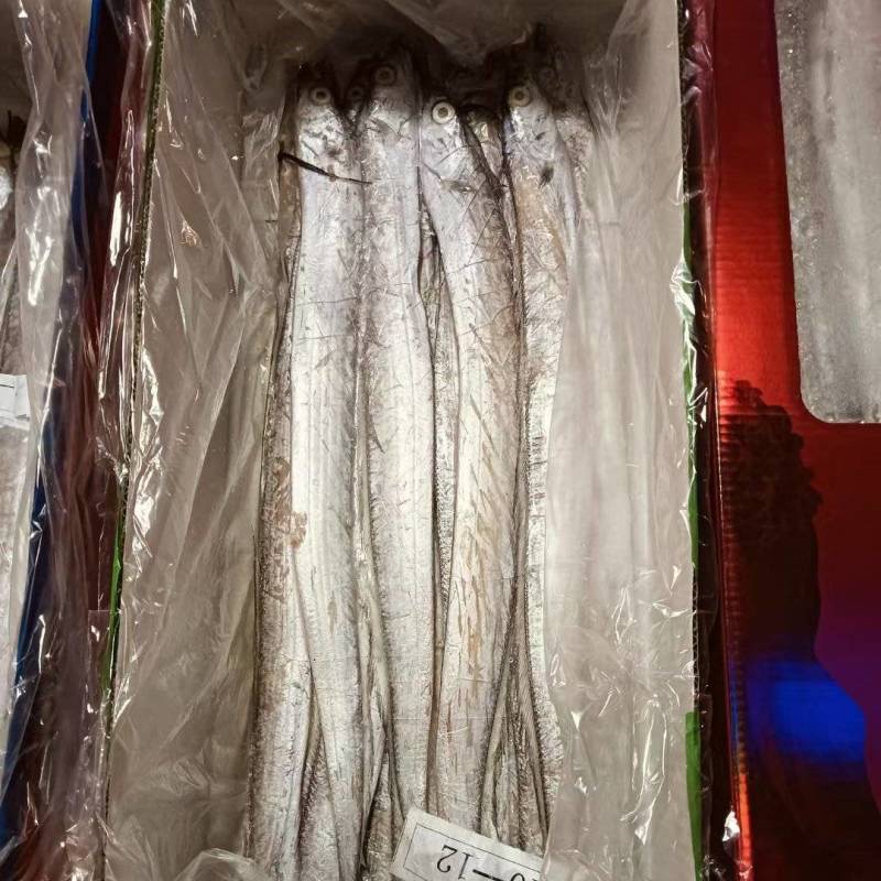 新货无冰礼盒带鱼舟山带鱼净5斤
