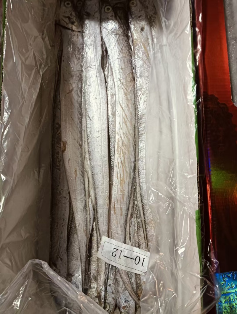 新货无冰礼盒带鱼舟山带鱼净5斤