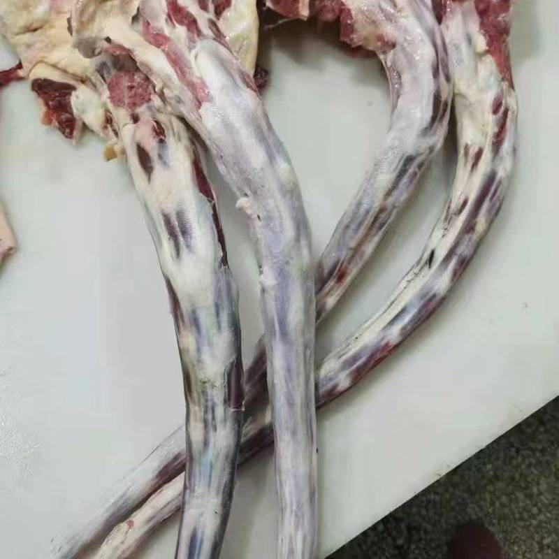 牛尾国产清真屠宰厂直营销售！诚信经营质量价格有保证
