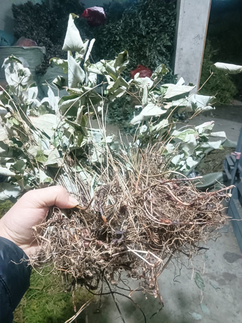 求购这种货3吨
