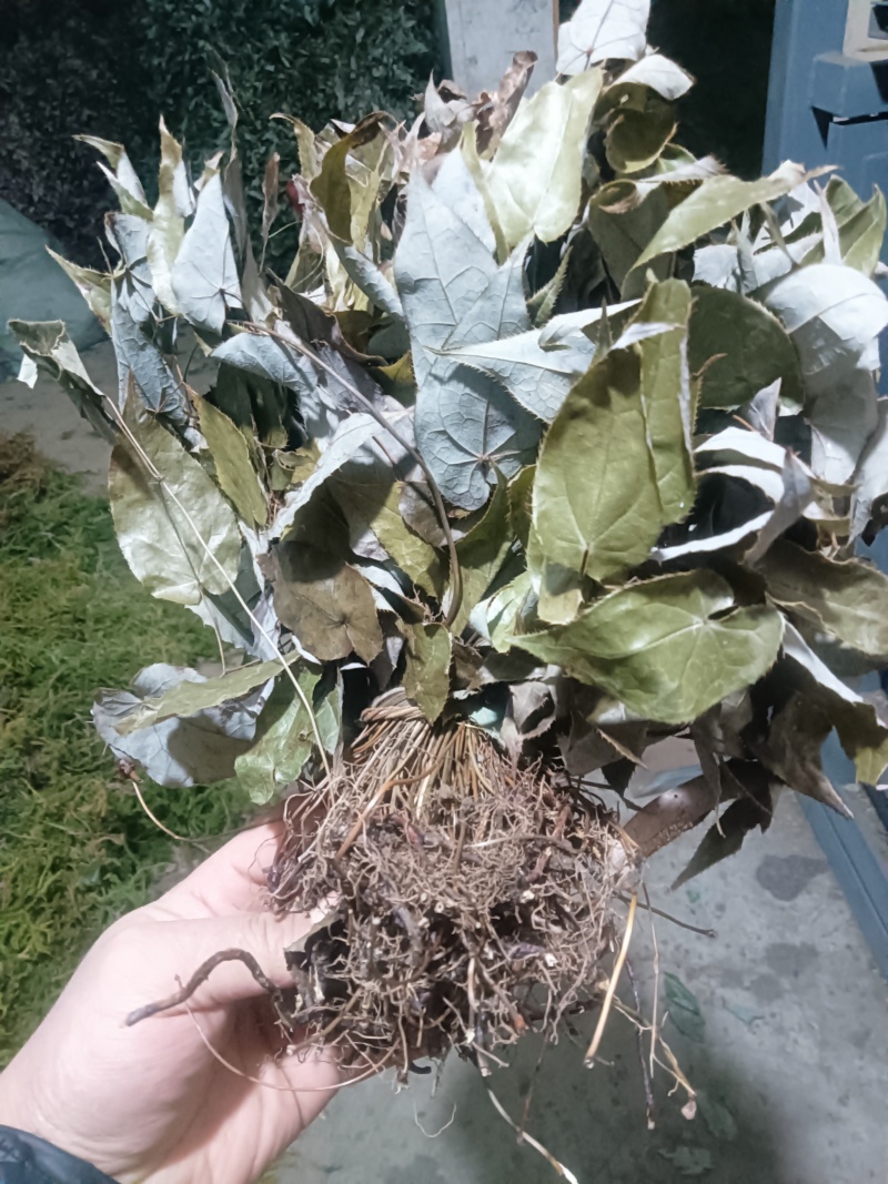 求购这种货3吨