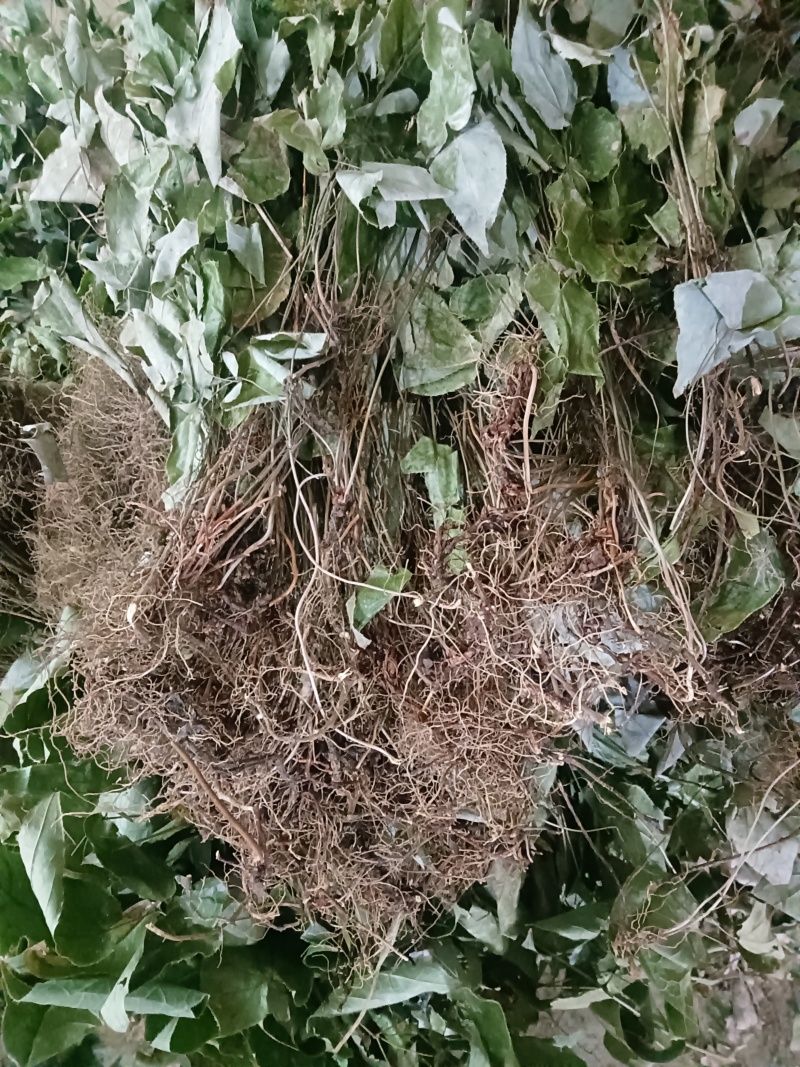 求购这种货3吨