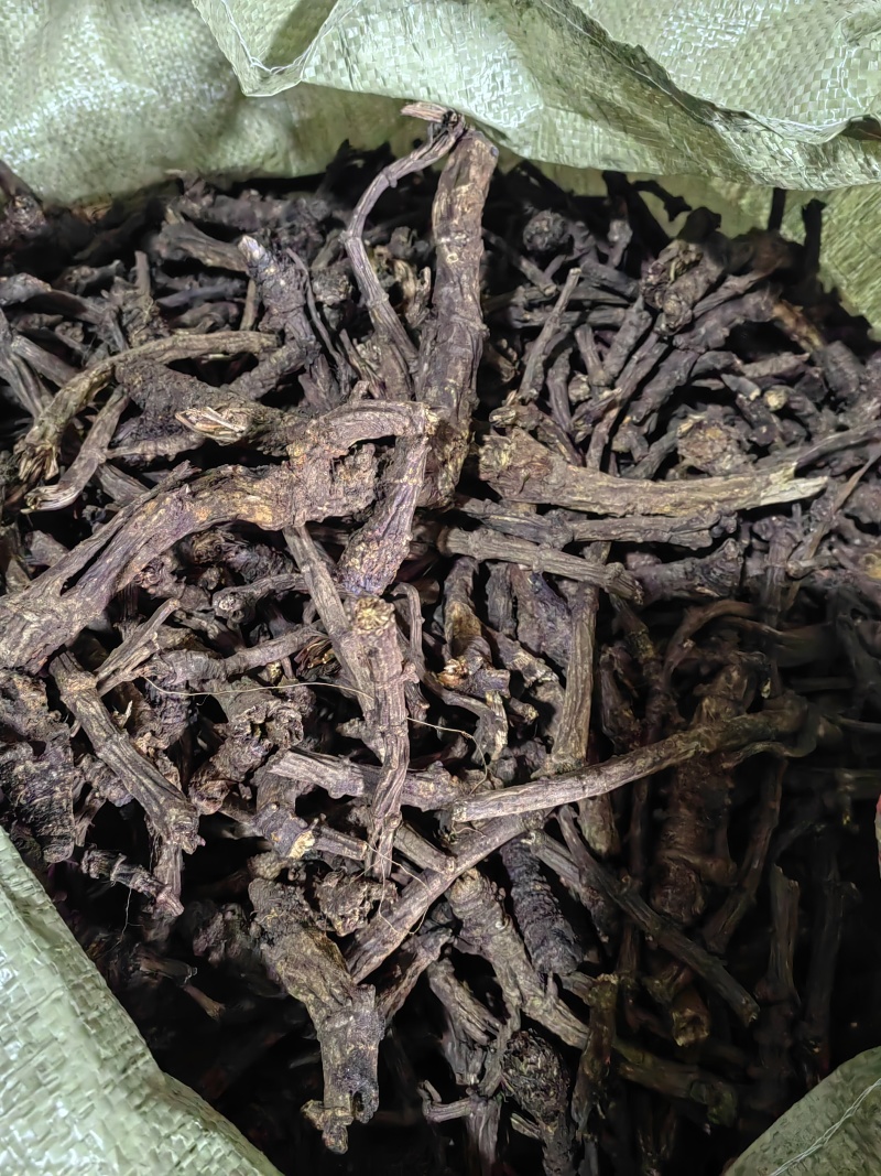 野生羌活产地直发质量保证支持视频看货