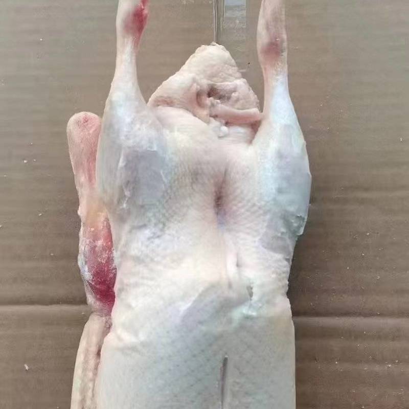 全鸭
