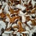 正宗新会冬后大红陈皮