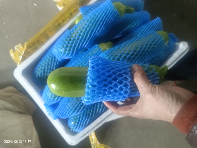 绿皮西葫芦