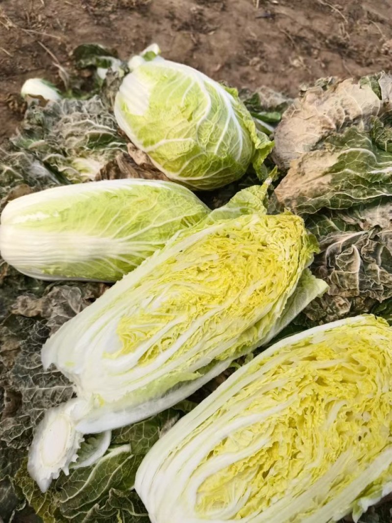 玲珑黄白菜