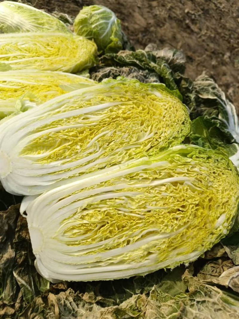 玲珑黄白菜