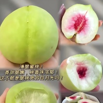 来自大山的问侯青桃，脆甜适中，“嘎嘣脆”，免费咨询服务