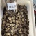 黑松露中大片