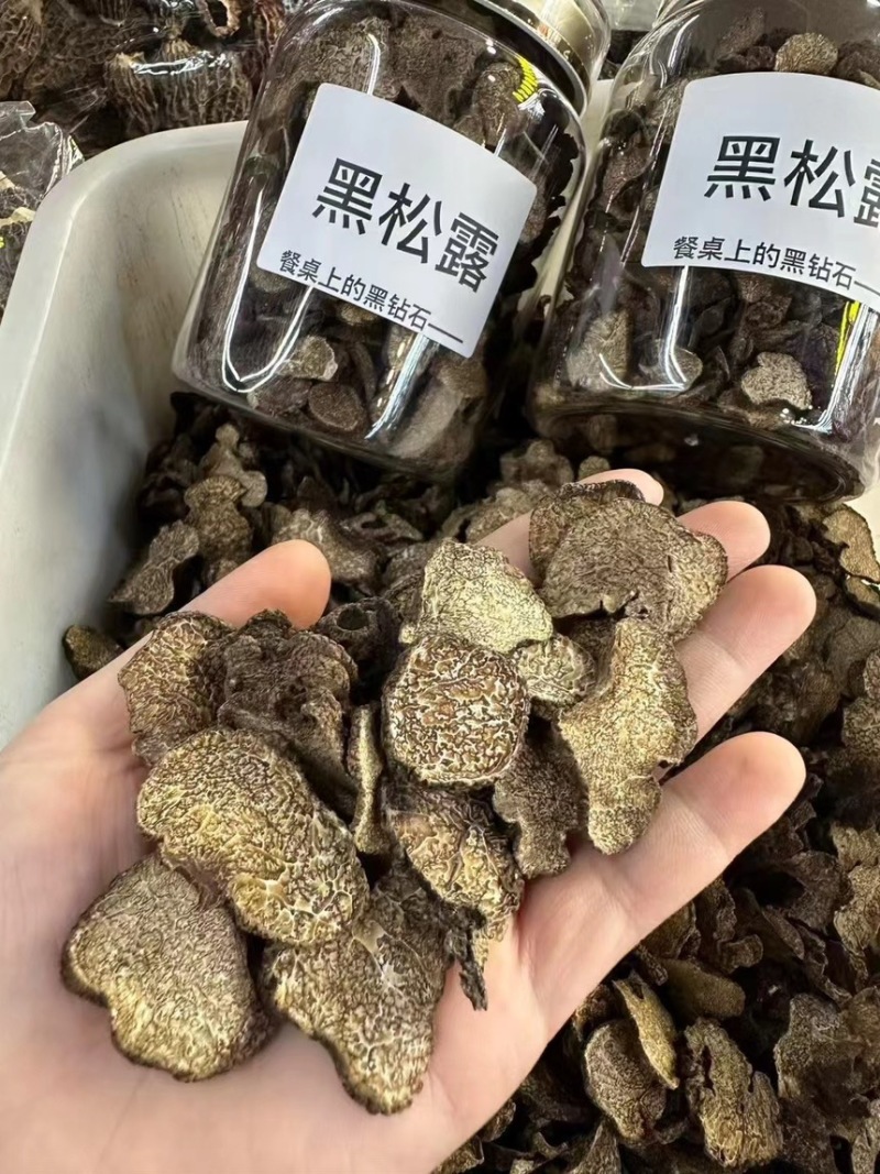 黑松露中大片