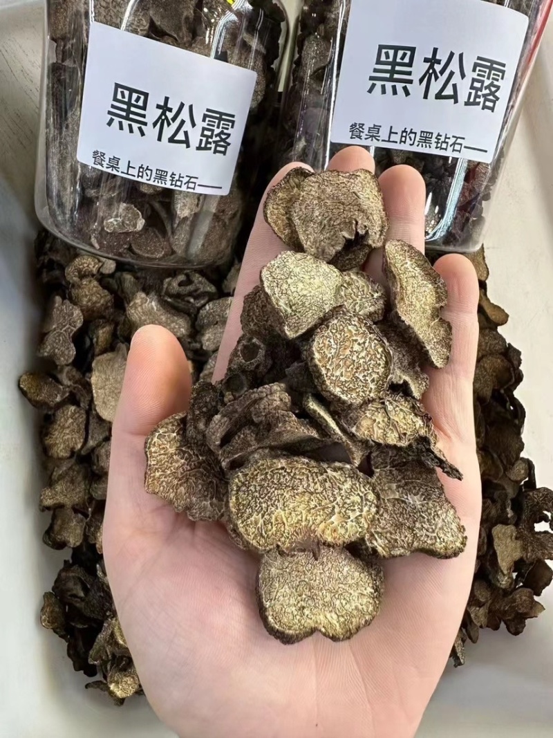 黑松露中大片