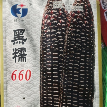双国审黑糯660国审玉20200524国审玉20220