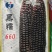双国审黑糯660国审玉20200524国审玉20220