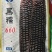 双国审黑糯660国审玉20200524国审玉20220