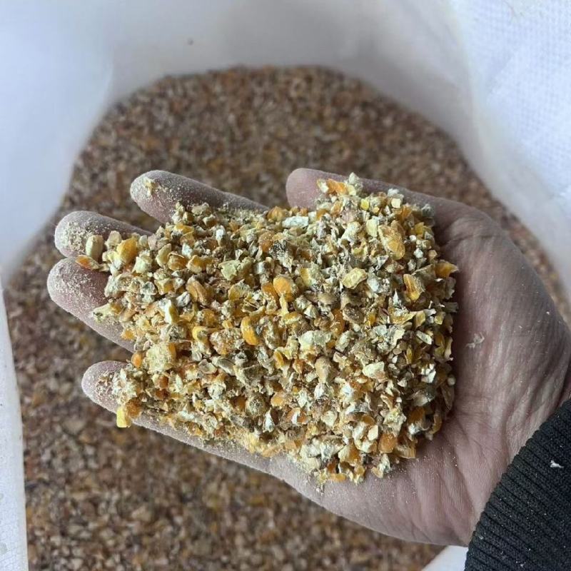 碎玉米，适合鸡鸭鹅牛羊猪养殖，大量现货！