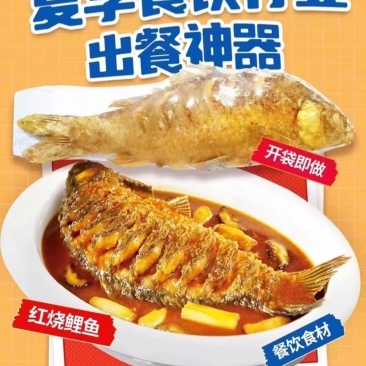 黄河大鲤鱼餐饮商超各种规格系列电商代发
