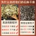 安徽霍山铁铁皮石斛切片罐装