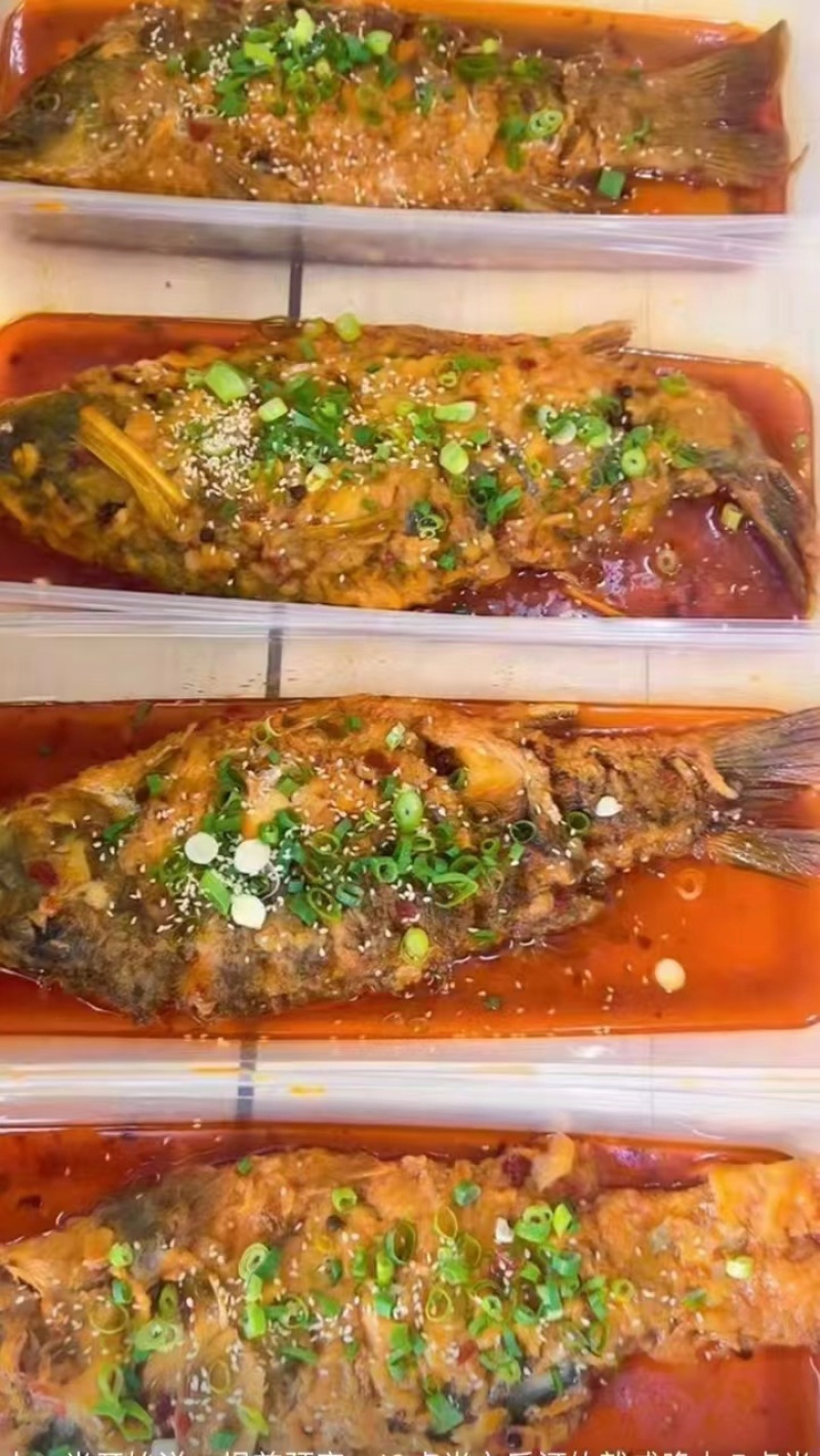 黄河大鲤鱼餐饮商超各种规格系列电商代发