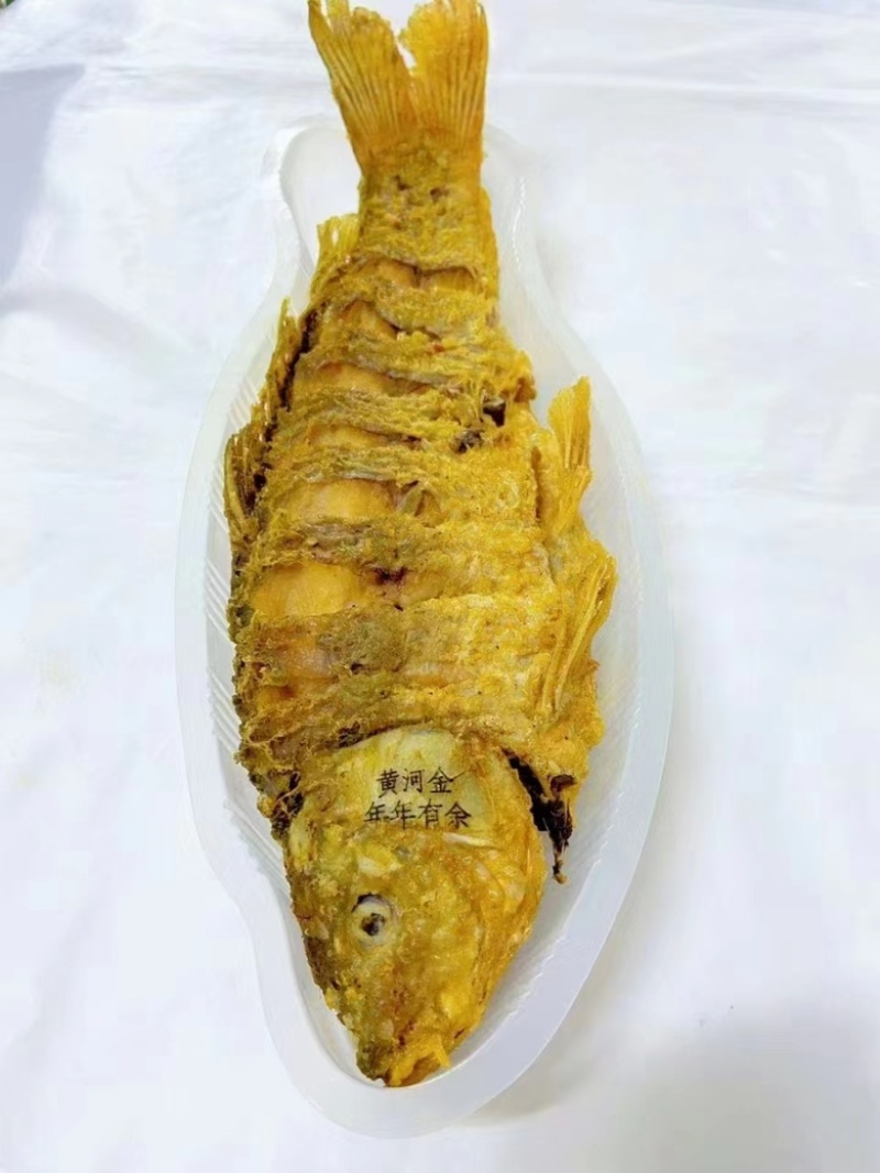 黄河大鲤鱼餐饮商超各种规格系列电商代发