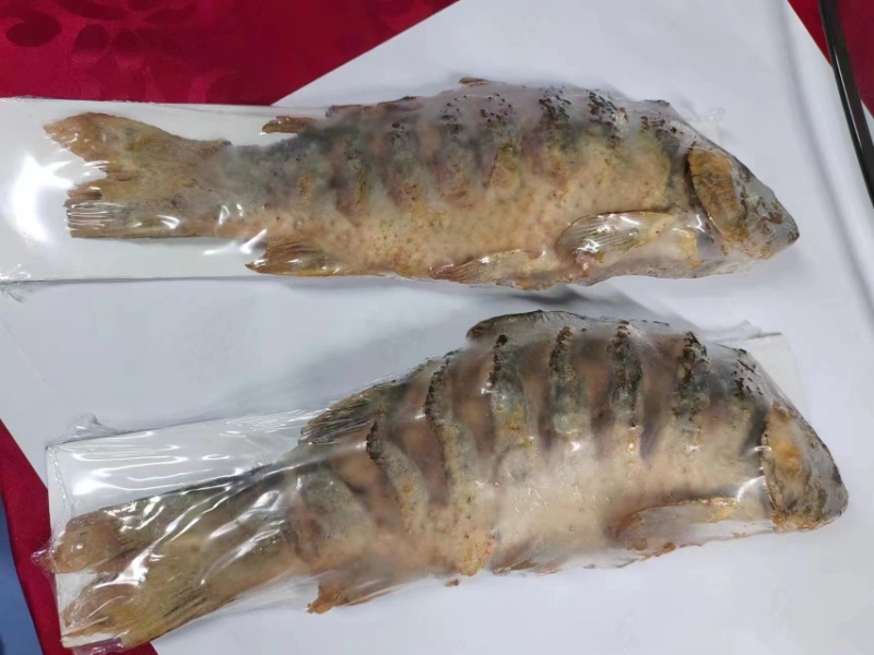 黄河大鲤鱼餐饮商超各种规格系列电商代发