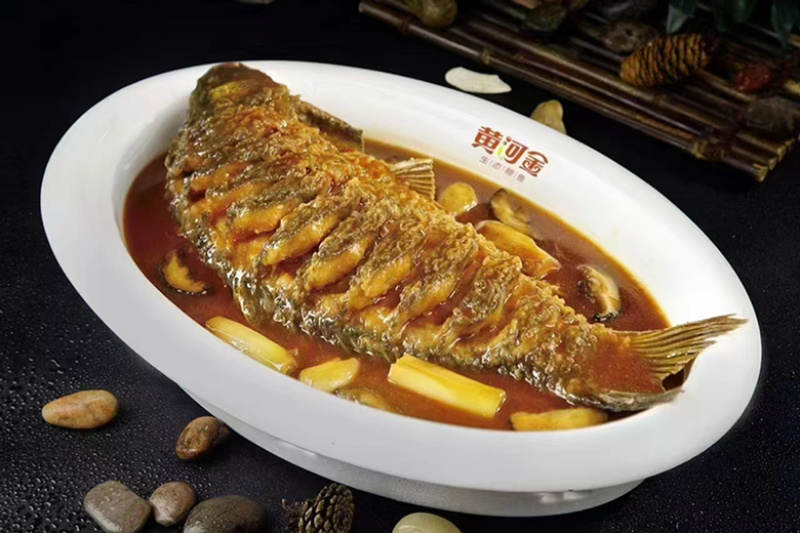 黄河大鲤鱼餐饮商超各种规格系列电商代发