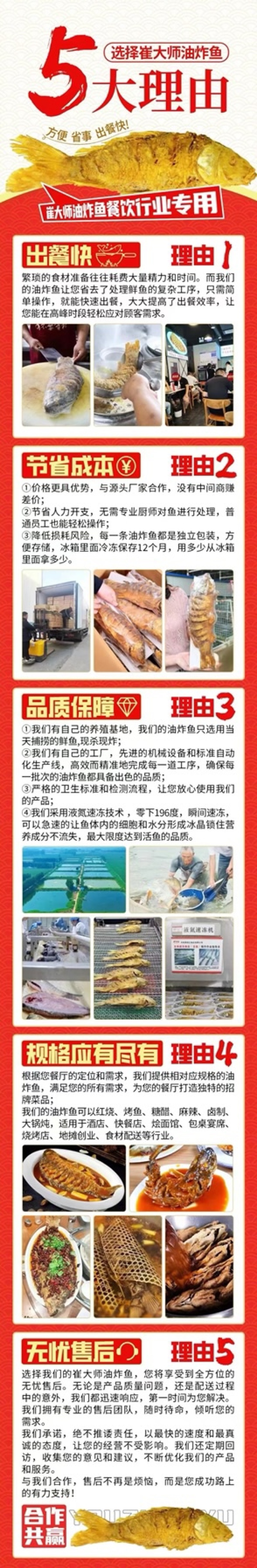 黄河大鲤鱼餐饮商超各种规格系列电商代发