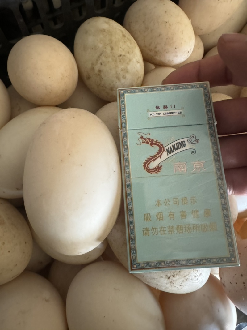 双黄蛋，有大又美价值连城欢迎砸单，大量有货支持全国发货