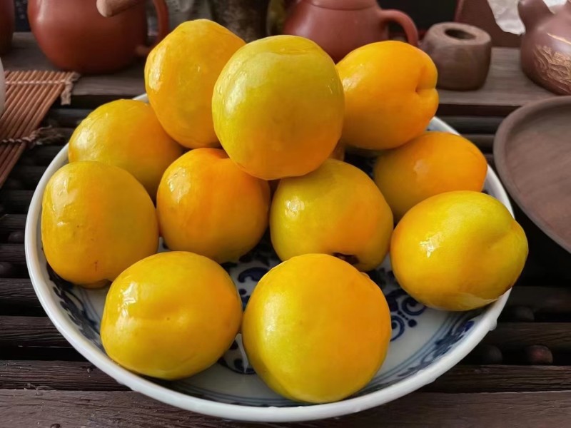 敦煌特产敦煌李广杏自然晾晒的杏干泡水零食家庭必备佳品