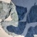 盐渍厚海带头新菜海带头地摊热卖海带头