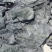 盐渍厚海带头新菜海带头地摊热卖海带头