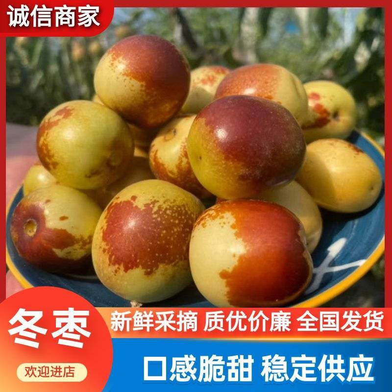【山东冬枣】大量上市，9元一件代发，自由市场，诚信代办