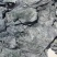 盐渍厚海带头新菜海带头地摊热卖海带头