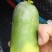 精品水果萝卜，青萝卜圆萝卜，，量大从优诚信经营
