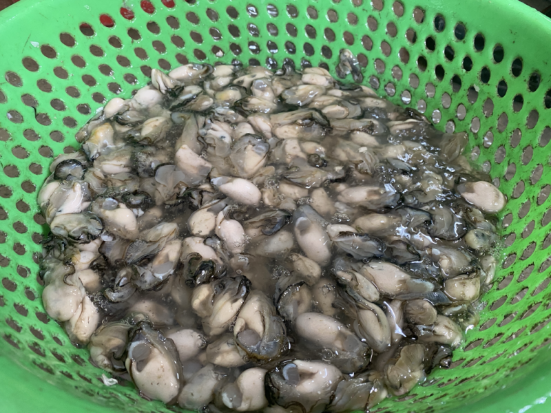 新鲜生蚝肉，产地直发，大量供应