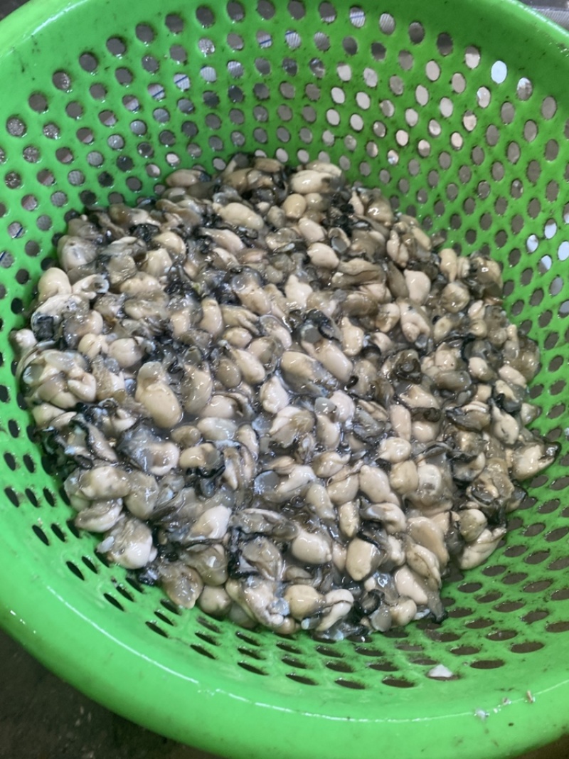 新鲜生蚝肉，产地直发，大量供应