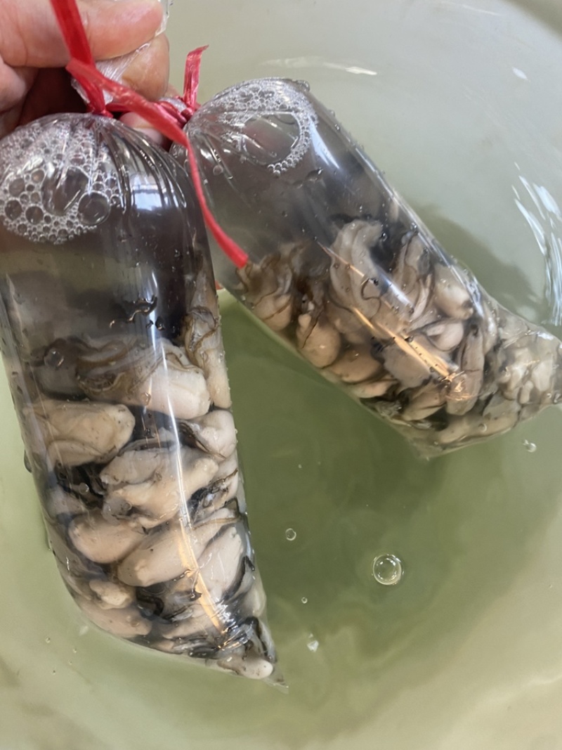 新鲜生蚝肉，产地直发，大量供应