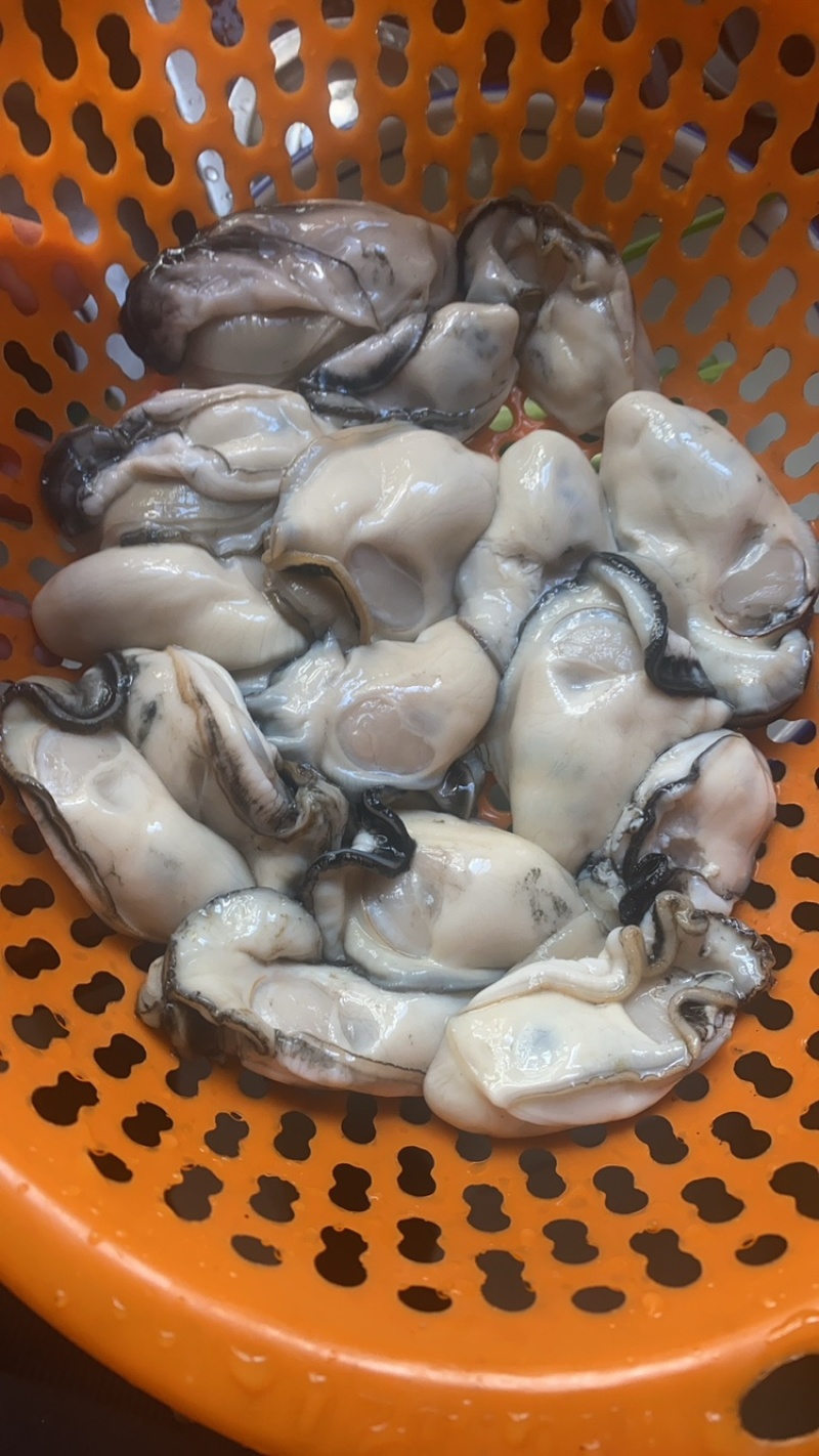 新鲜生蚝肉，产地直发，大量供应