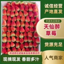 天仙醉草莓基地直发一手货源保质保量发货全国