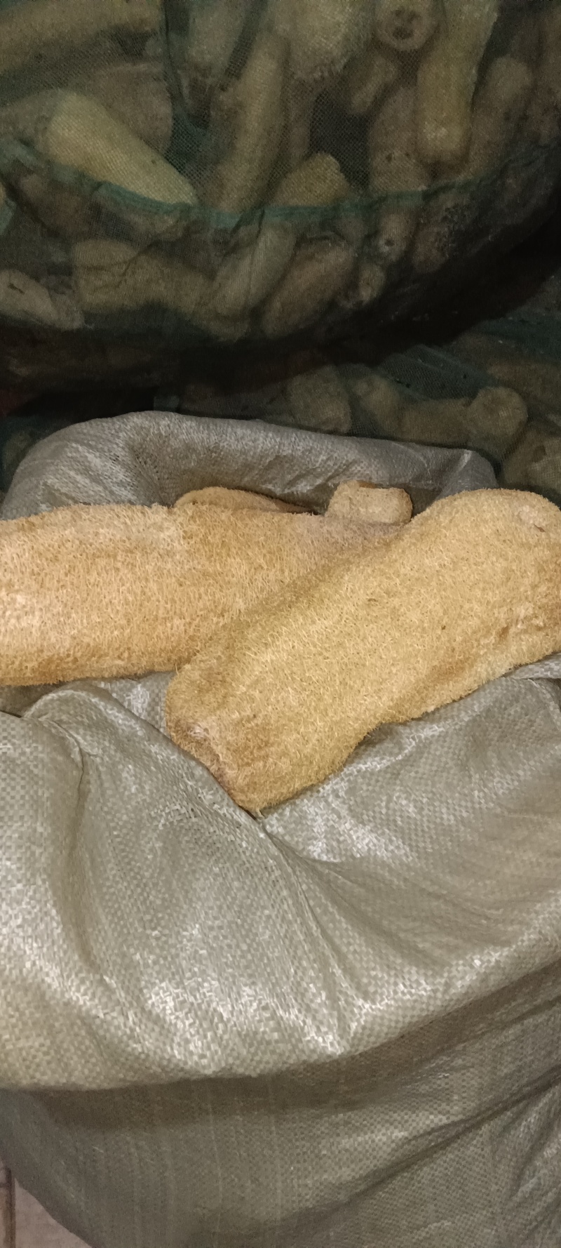 还有少量丝瓜络