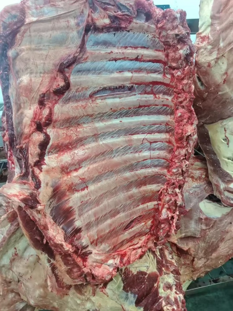 牛排国产满肉牛排鲜的提前预定
